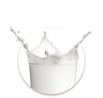 Milch
